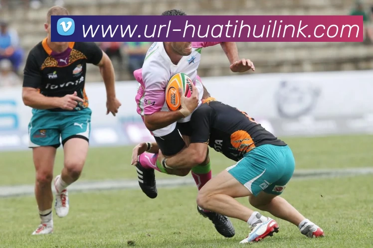 华体会体育平台生态图